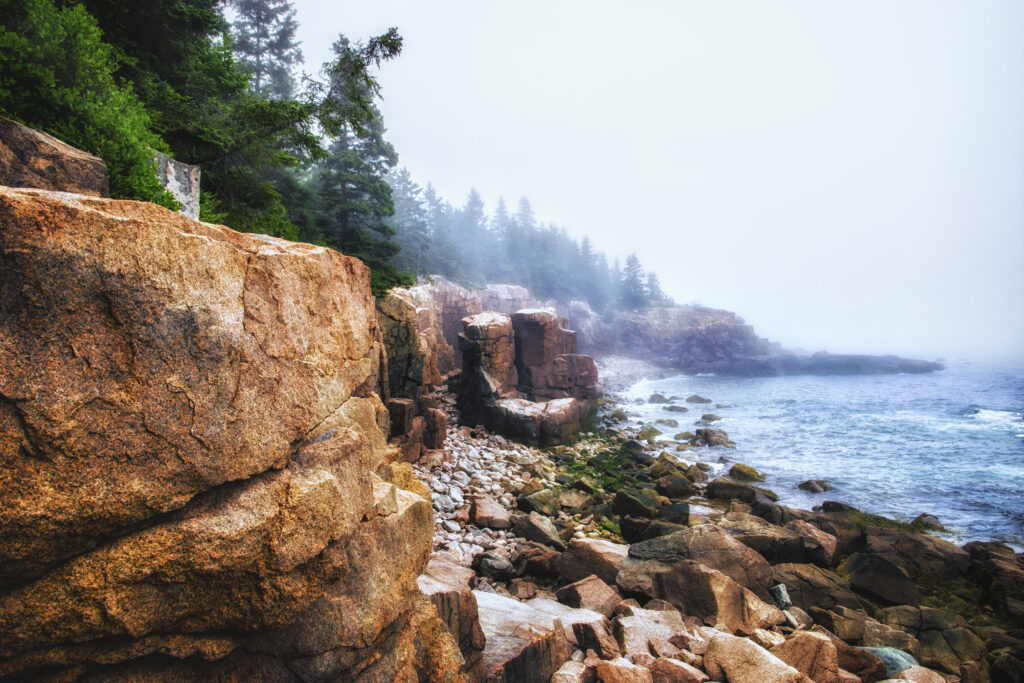 Acadia National Park in Maine. Coastline, stony beaches and pine forests.