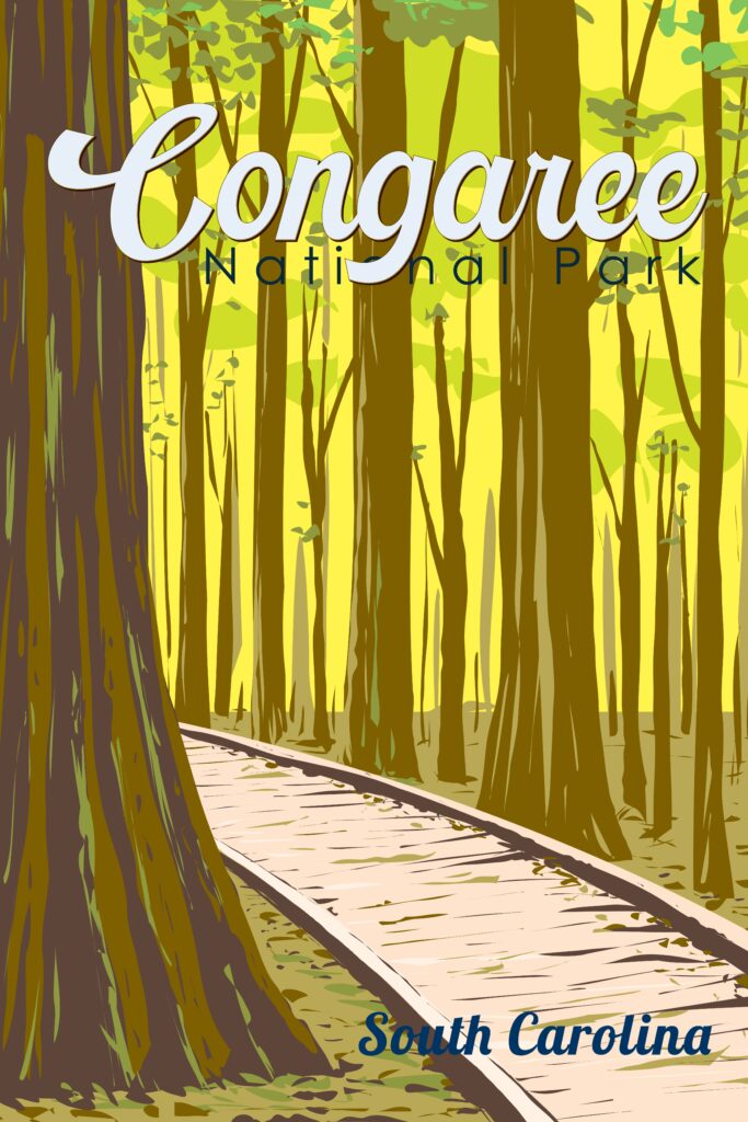 Vintage Congaree National Park Poster