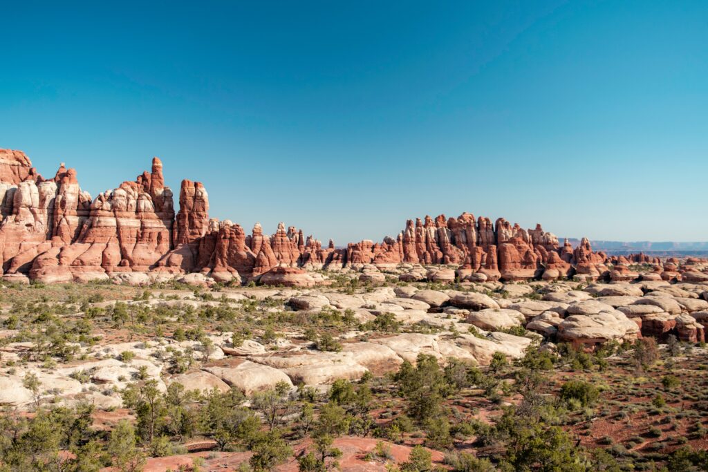 Canyonlands in the Needles District