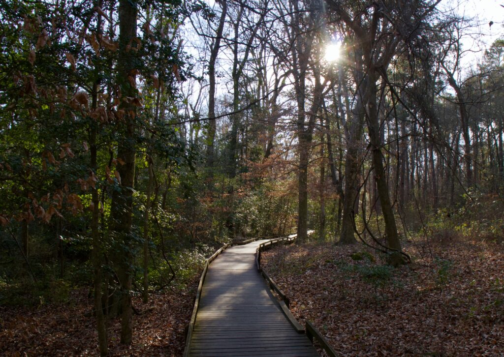 Congaree National Park Trail