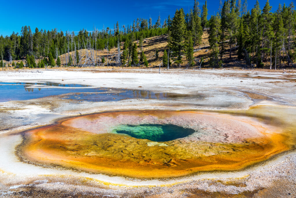 Landscape view of the Chromatic Pool in the Upper Geyser Basin in Yellowstone National Park